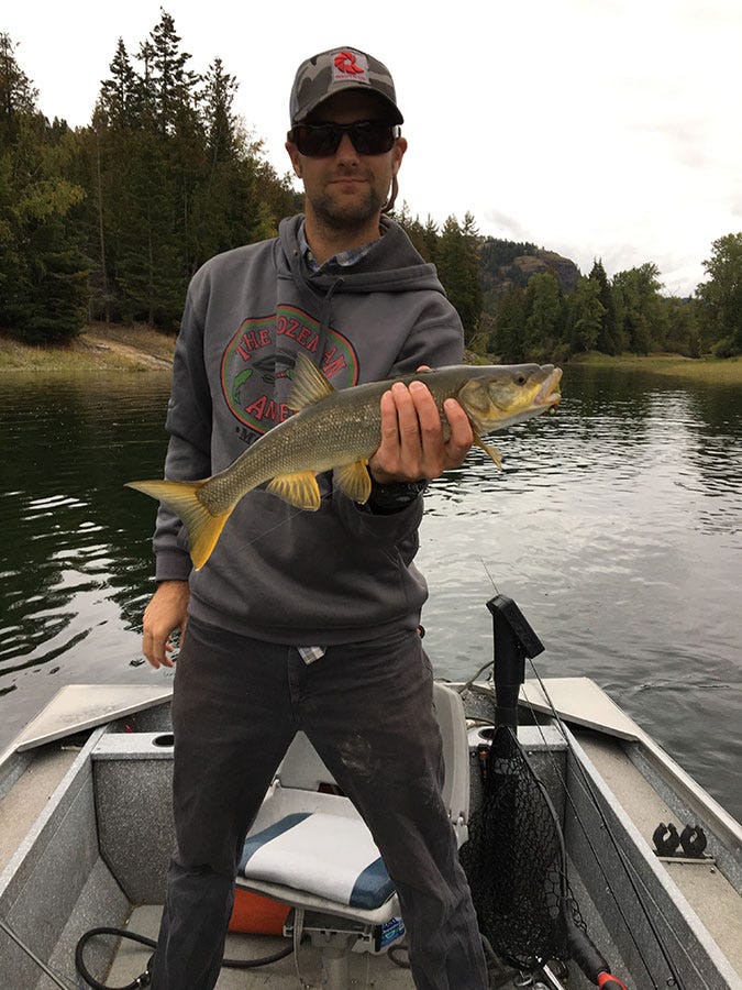 fish
