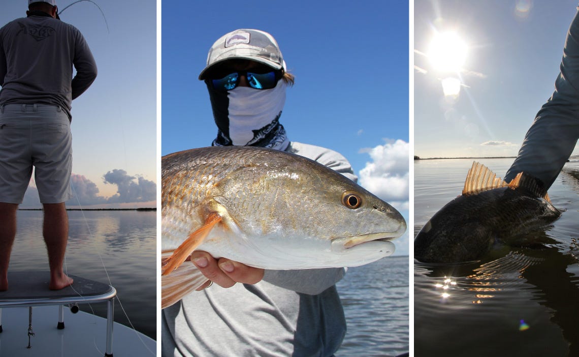 redfish1