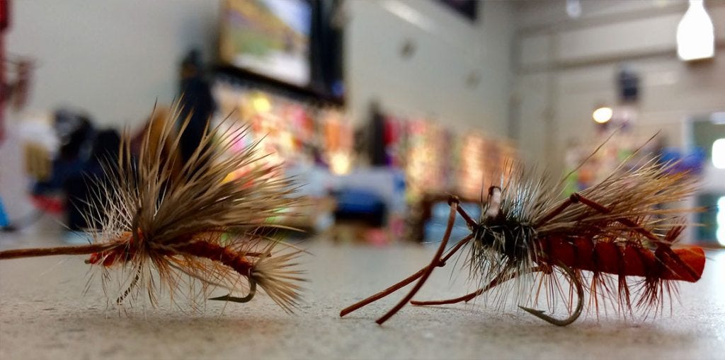 river-report-9-30-16-b