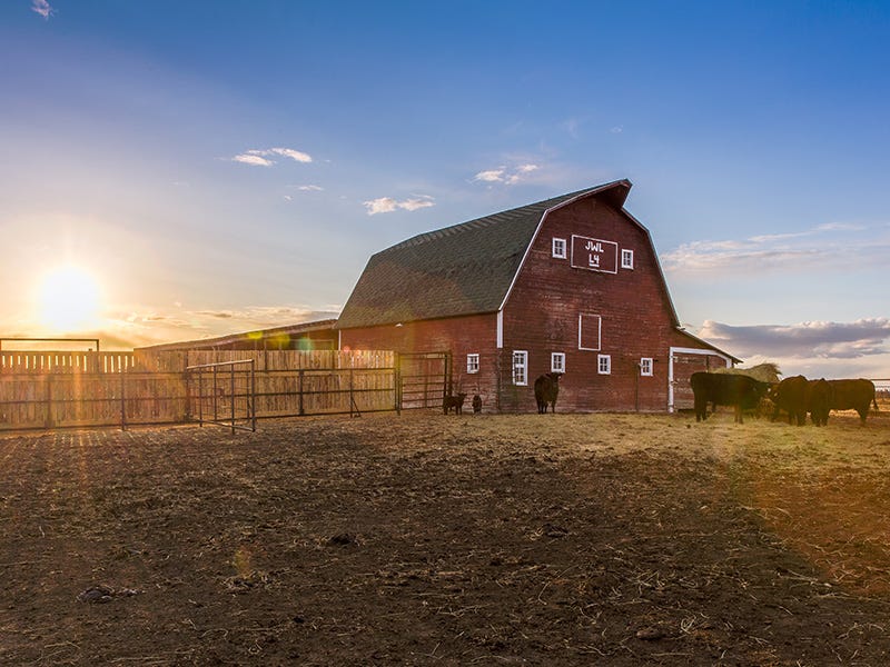 How to Protect your Family, Farm or Ranch