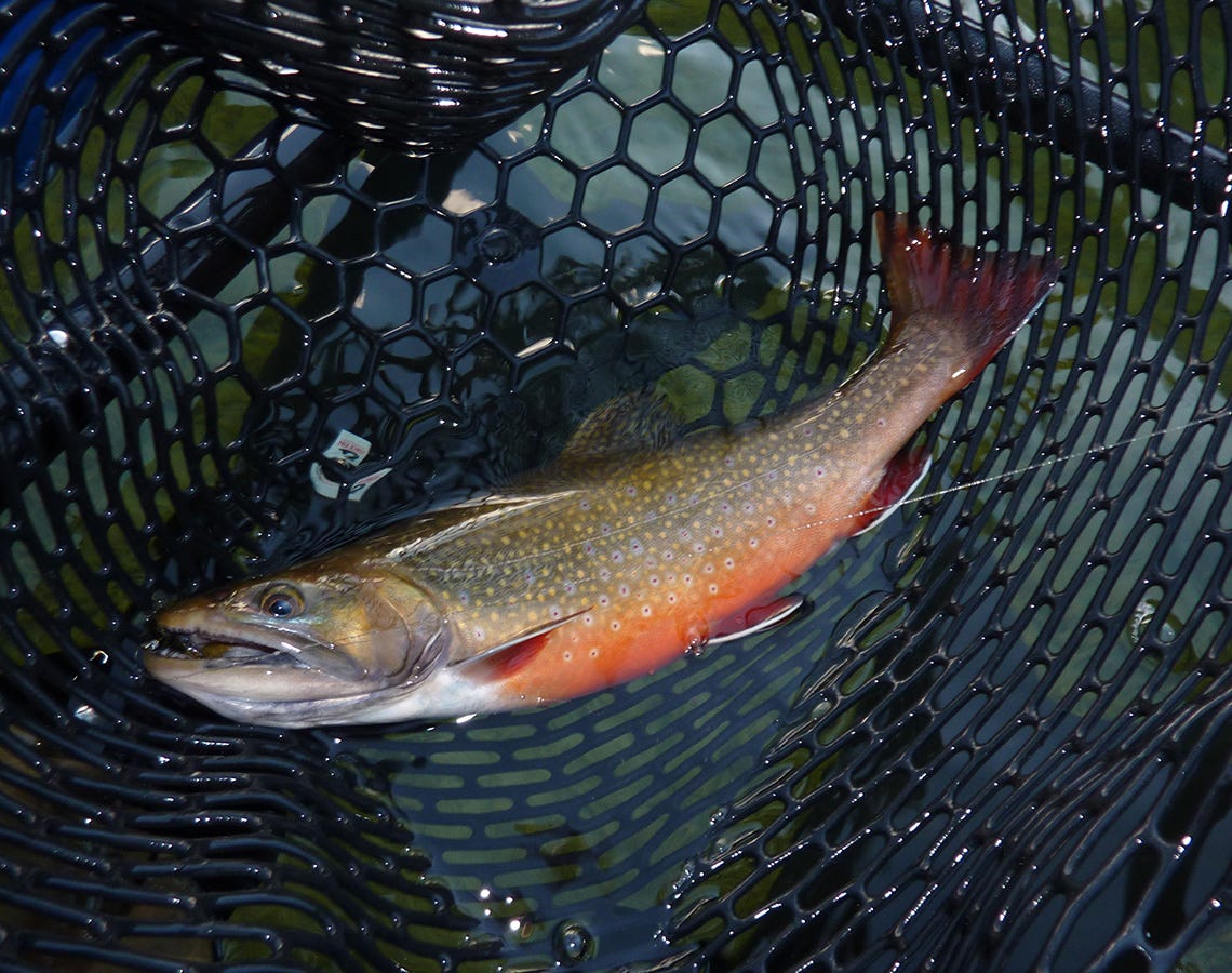 blue-lake-report-10-26-16a