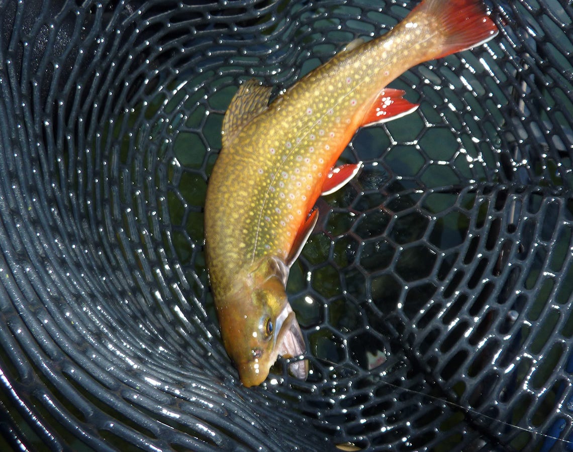 blue-lake-report-10-26-16b