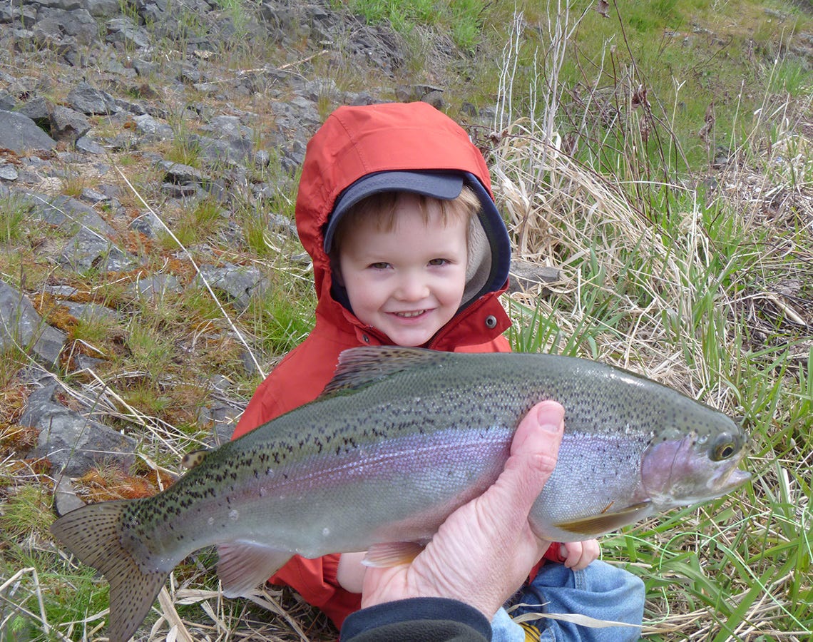 amber-lake-report-11-10-16d