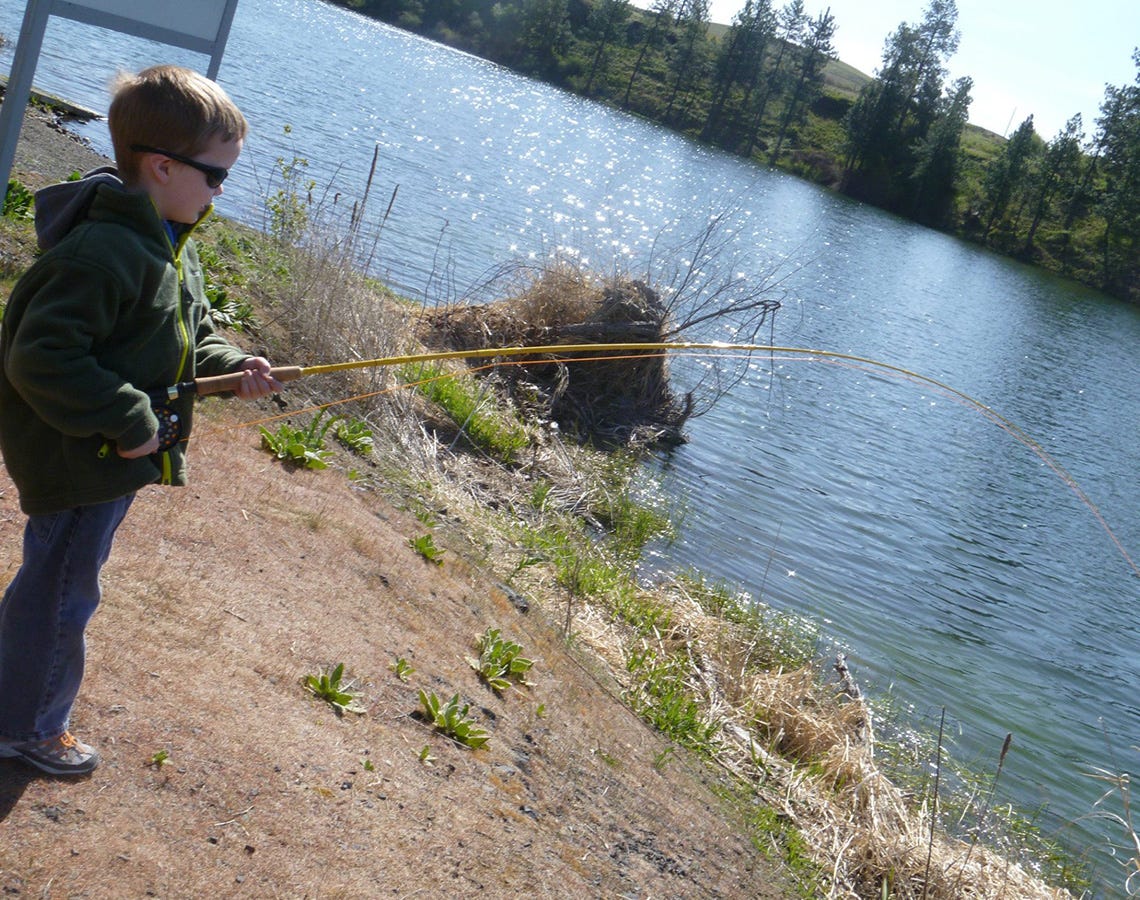 amber-lake-report-11-10-16e