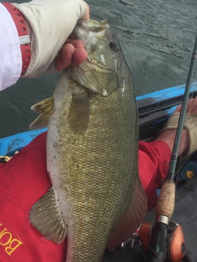 bass-fishing-techniques-for-fall-1