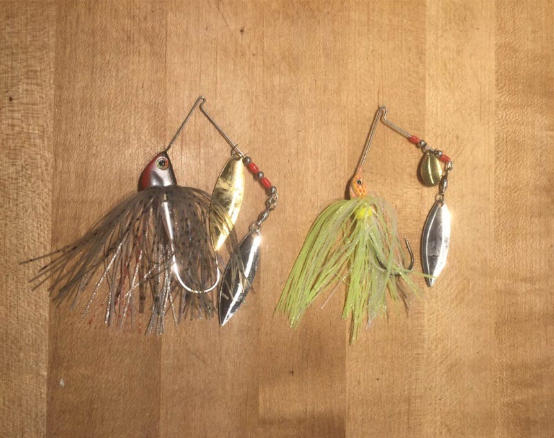 bass-fishing-techniques-for-fall-4