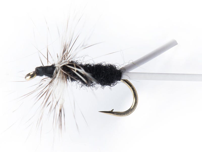 Rick's Montana Wonder Bug