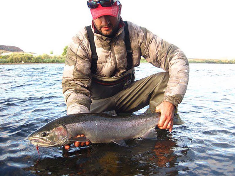 August Steelhead
