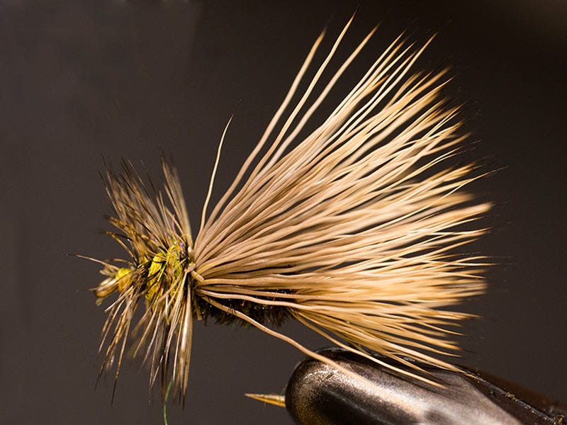 Fly Tying: Banana Slug Stimulator