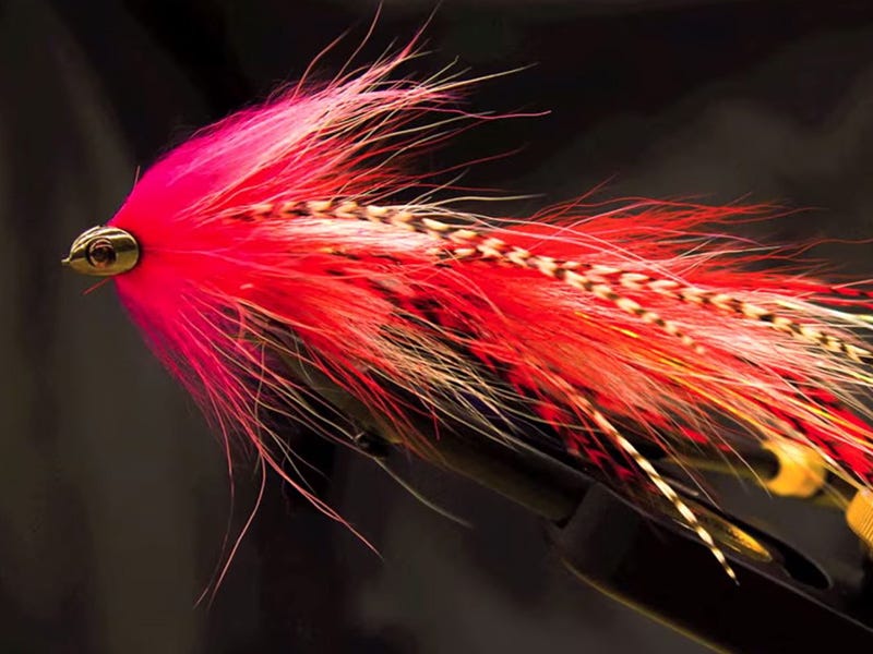 Fly Tying Video: Bise's Buck Tail Pike/Musky Fly