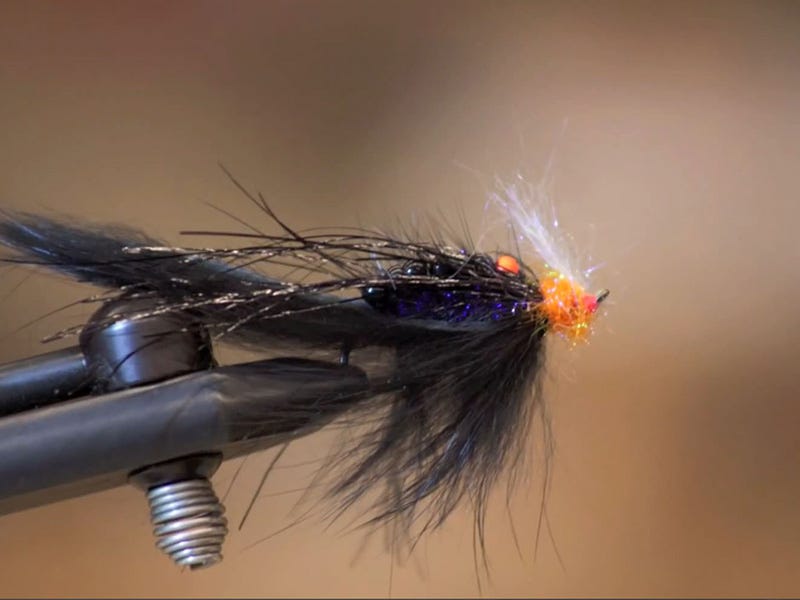 Fly Tying Video: Black Egg Sucking Leech