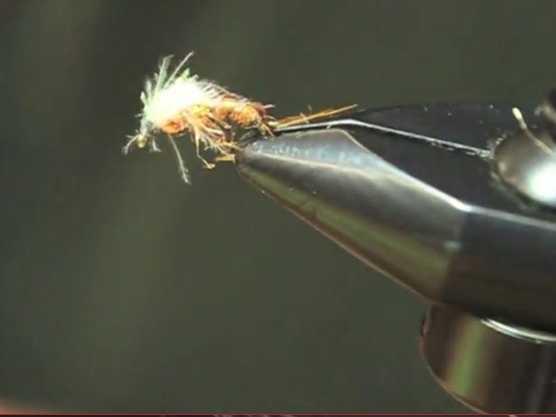 Fly Tying Video: Bubble Back PMD