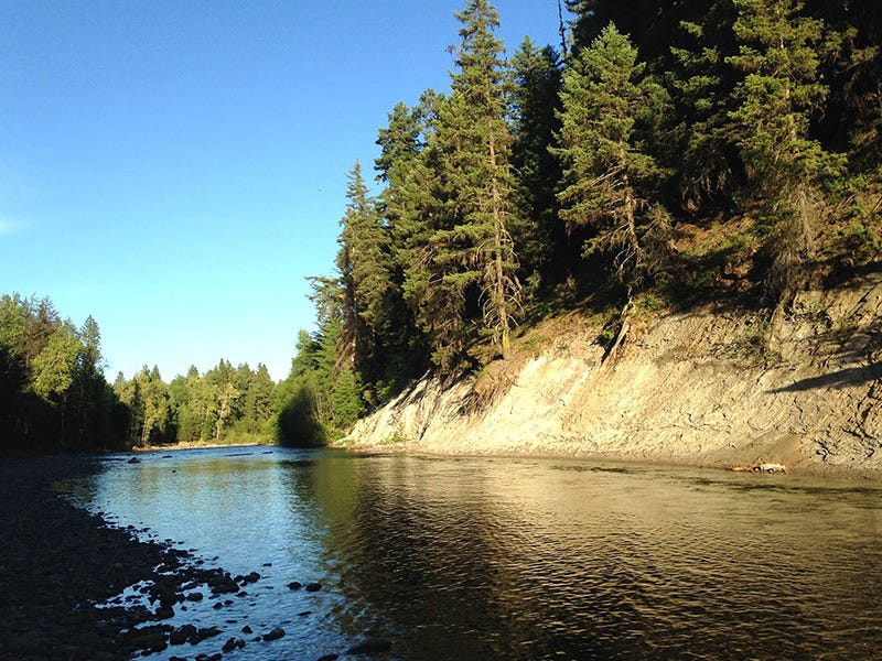 Central Washington Creeks Report 7.4.16