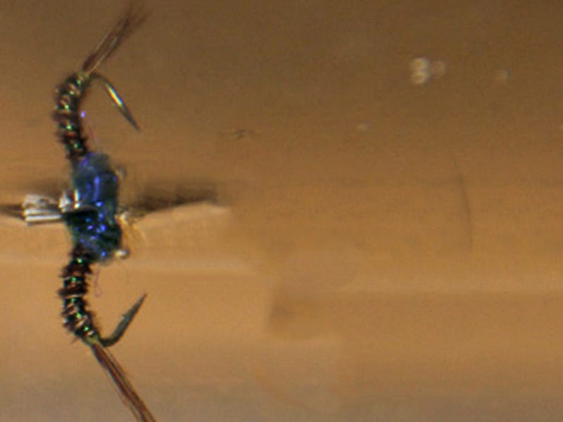 Fly Tying: Challenged Baetis Variant Pattern