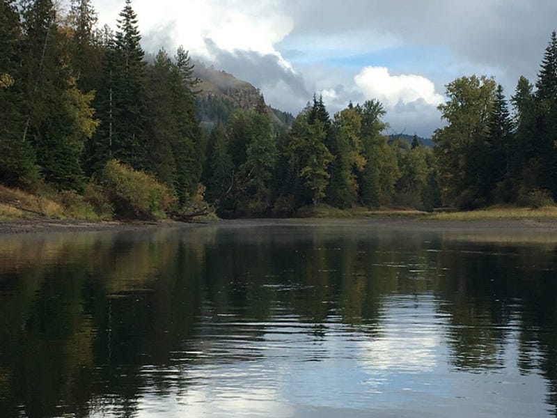 Clark Fork River 10.7.16