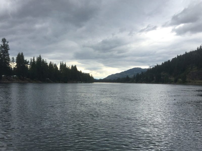 Clark Fork River Report 7.12.16