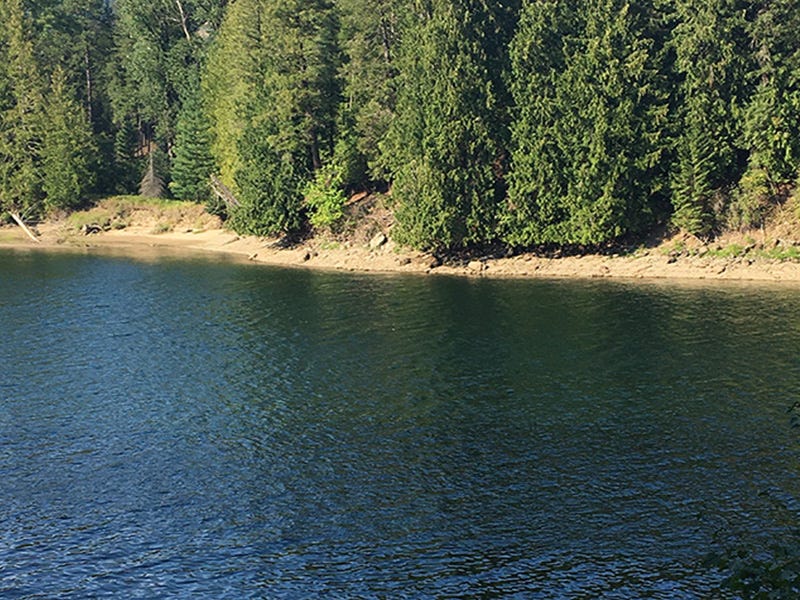Clark Fork River Report 8.7.16