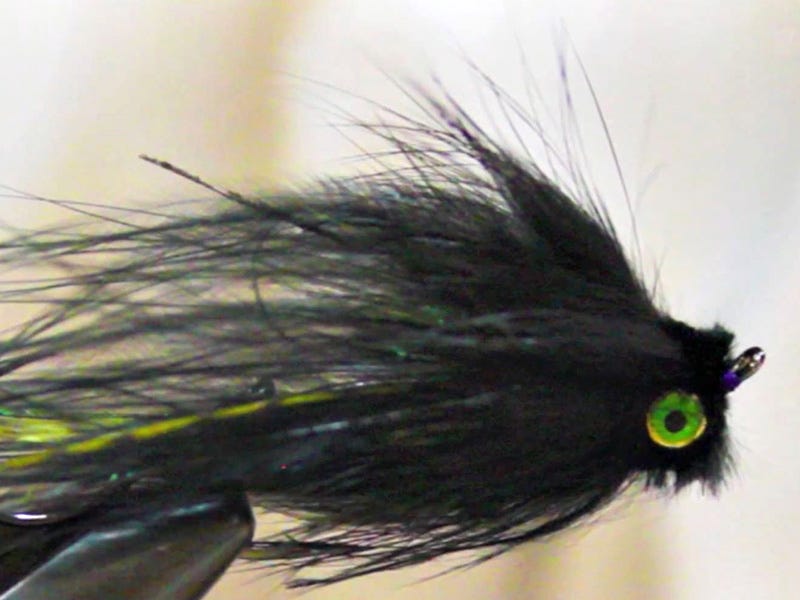 Fly Tying Video: Clearwater Intruder