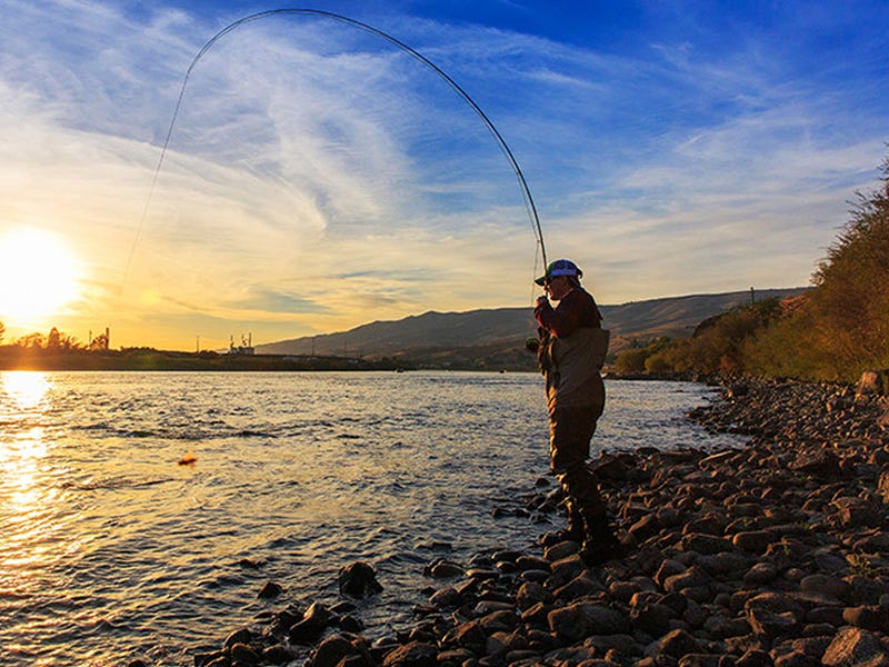 Clearwater River Report 9.4.15