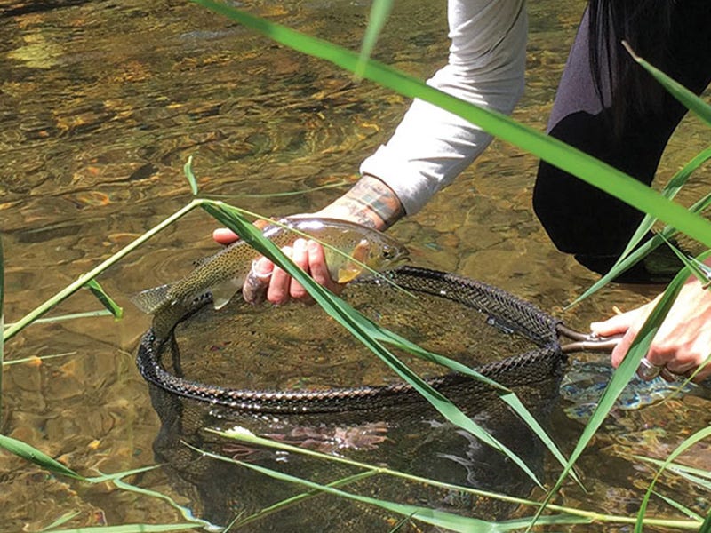 Coeur d'Alene River Report 6.14.16