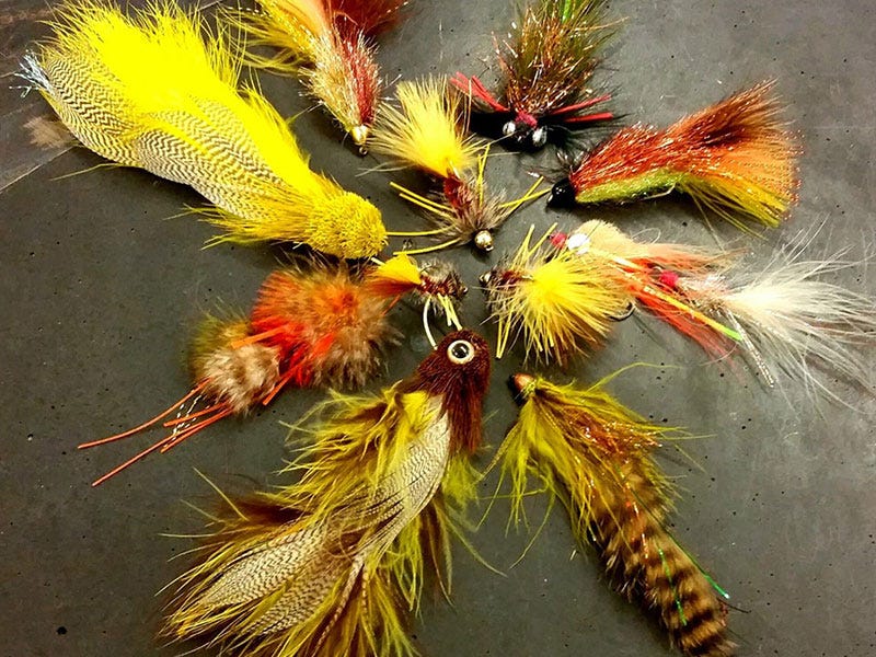 Colorful Flies of Fall