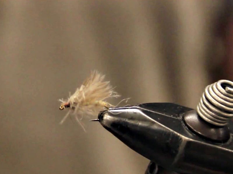 Fly Tying Video: Cornfed's Day Saver Caddis