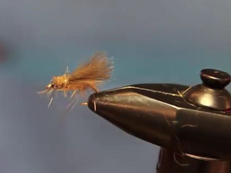 Fly Tying Video: D-duck Caddis
