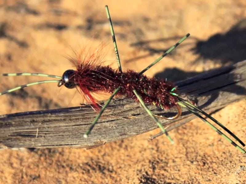 Fly Tying Video: Dirdle Bug