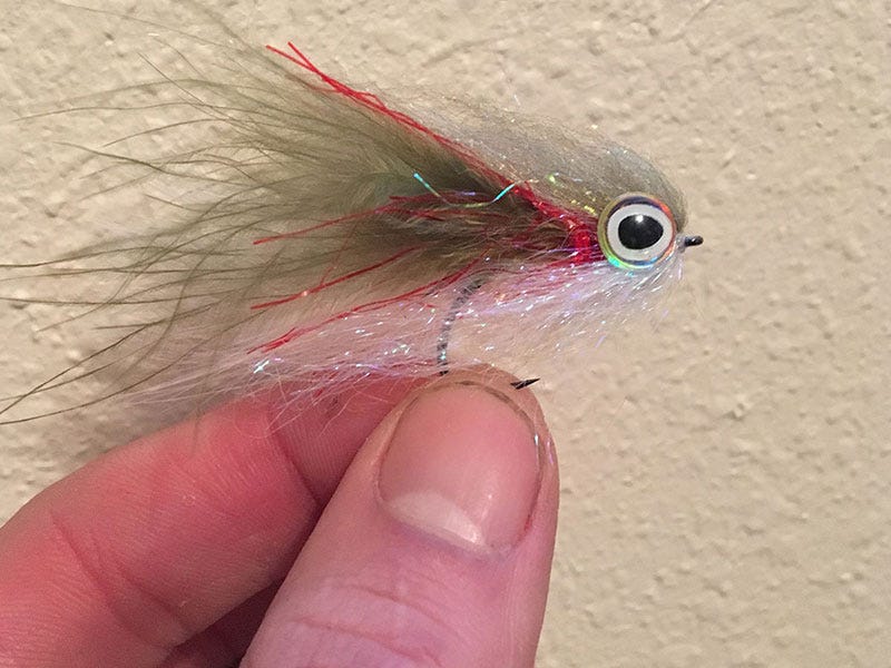 Finding Feathers and Fish in December