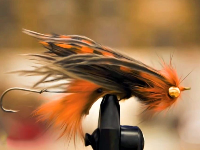 Fly Tying Video: Fullers Crawdad Intruder