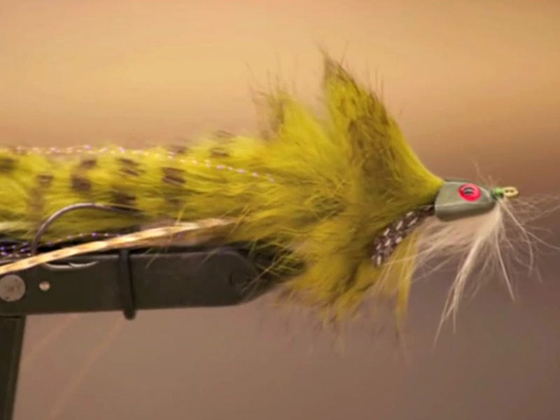 Fly Tying Video: Fuller's Falcor