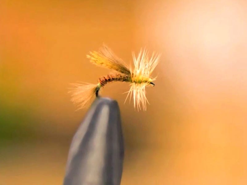 Fly Tying Video: Fuller's Turducken