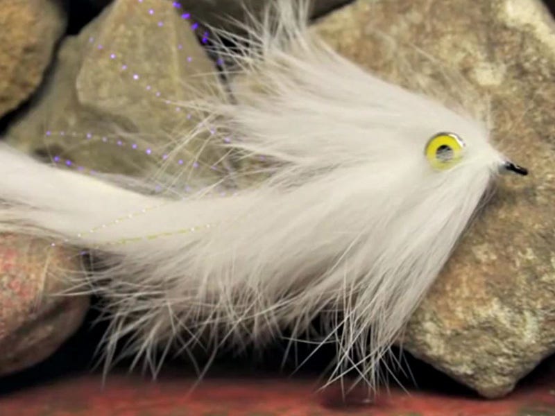 String Leech Pattern Fly Tying Video: Guide Strip Leech