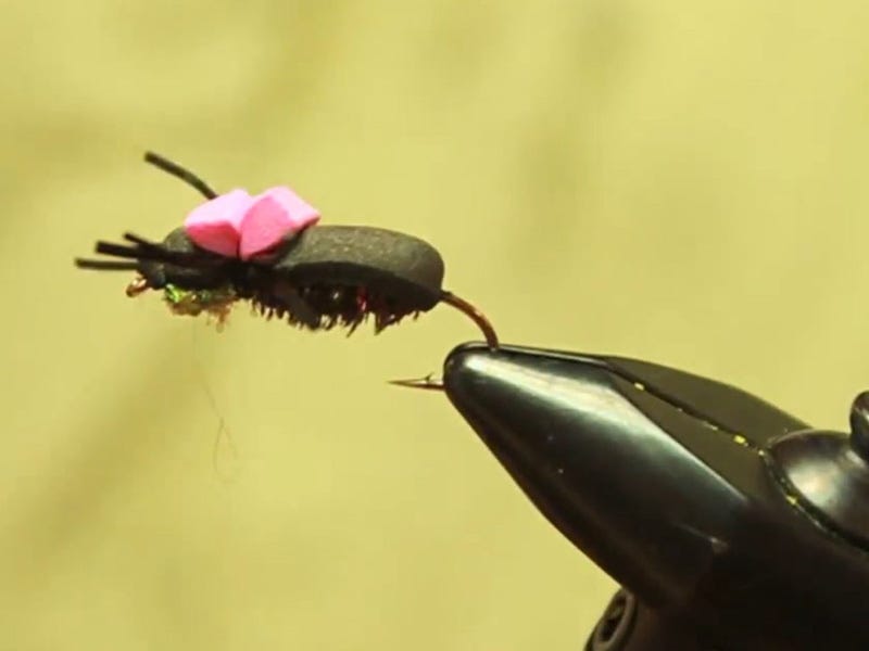 Fly Tying Video: Hi-Vis Beetle