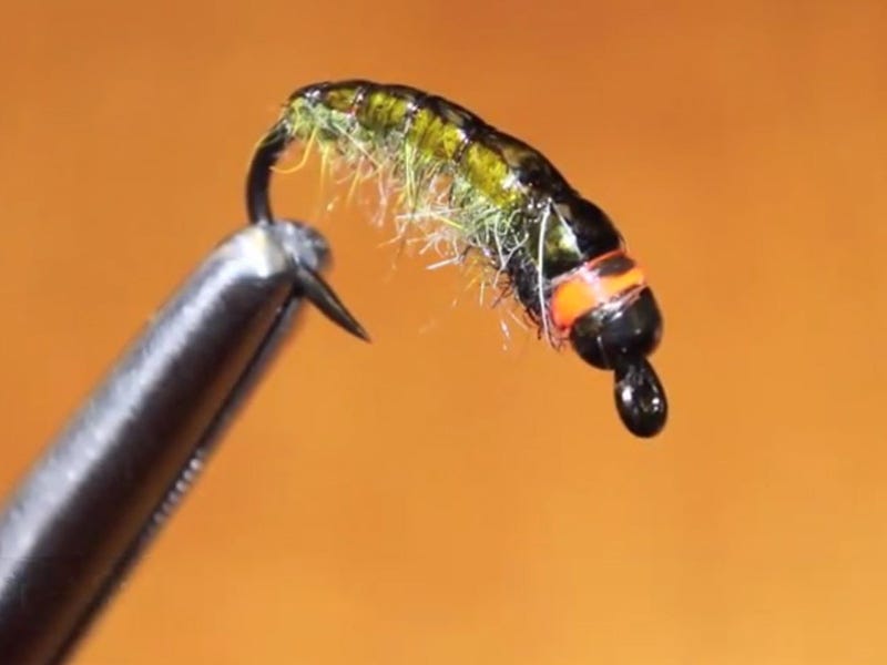 Fly Tying Video: Hot Spot Czech Nymph