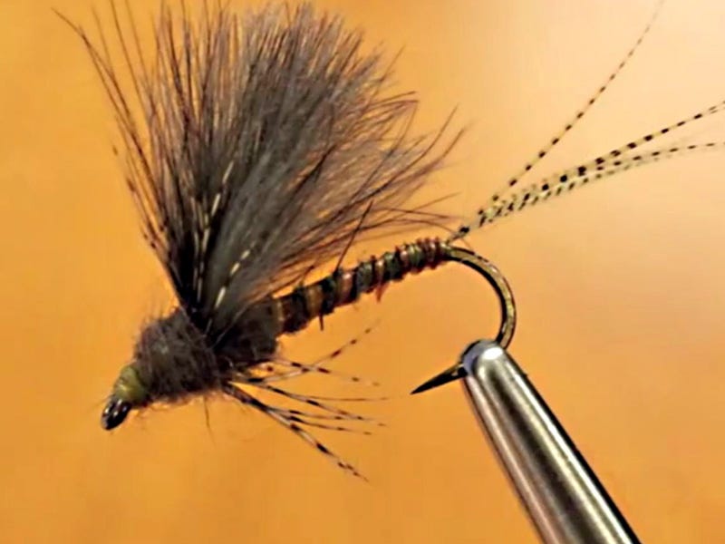 Fly Tying Video: Kelly Oikawa Brown Drake