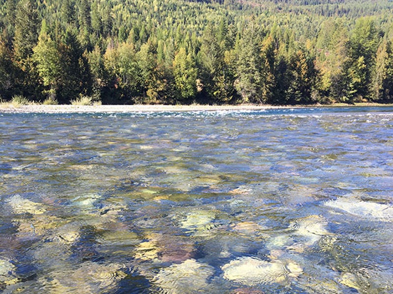 Kootenai River Report 9.15.16