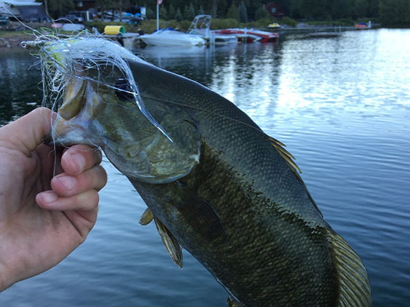 Lake Pend O'reille Report 7.21.16