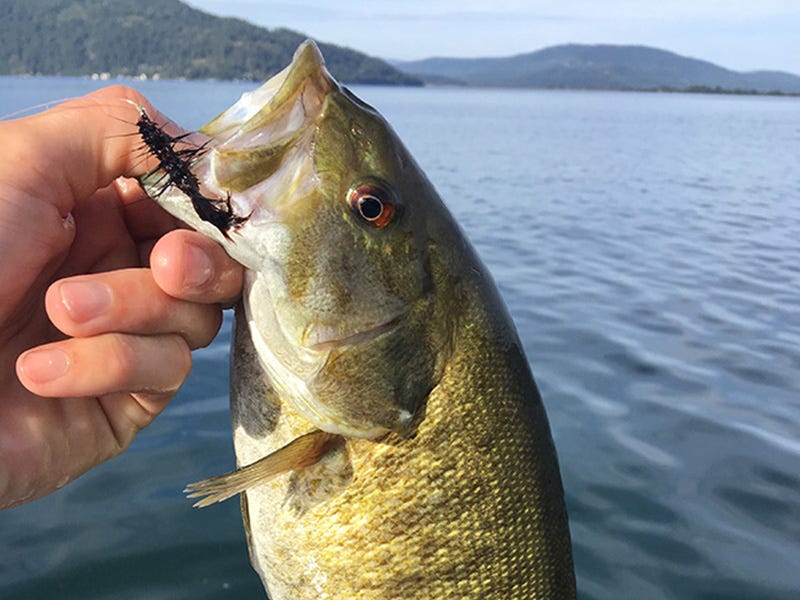 Lake Pend O’reille Report 7.6.16