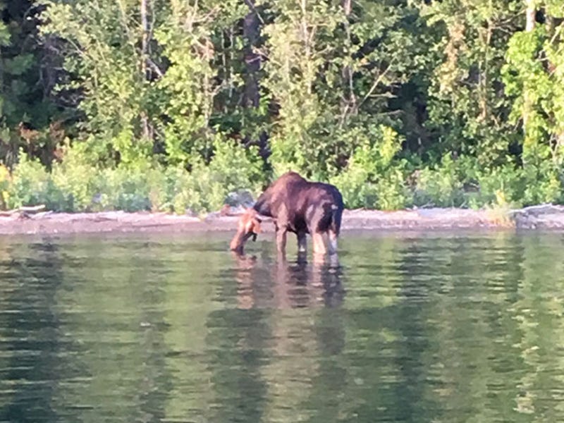 Lake Pend O'reille Report 8.26.16