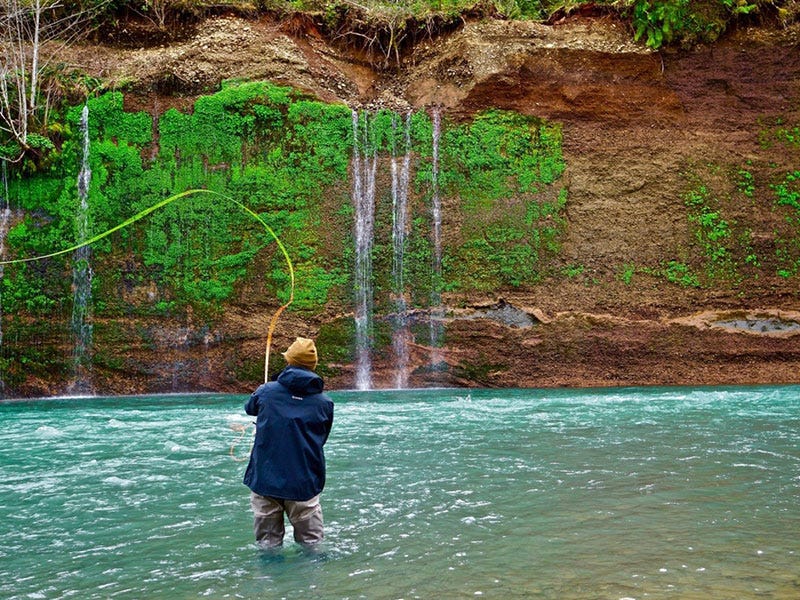 March Madness - Washington’s Olympic Steelhead