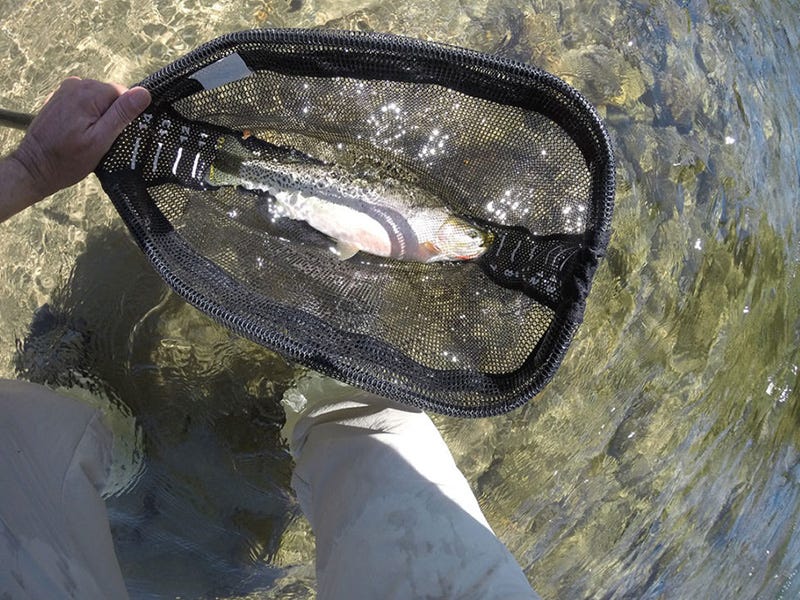 Methow River Report 6.29.16