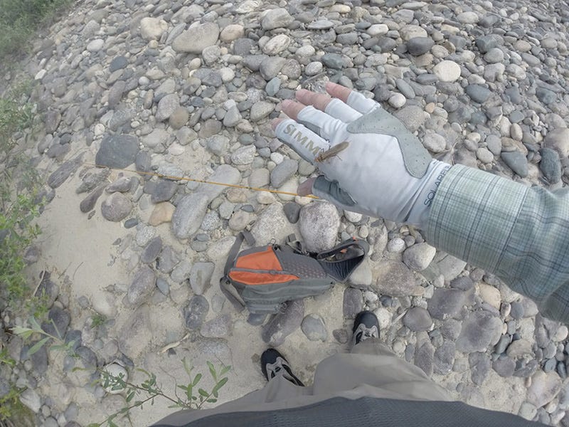 Methow River Report 7.7.16