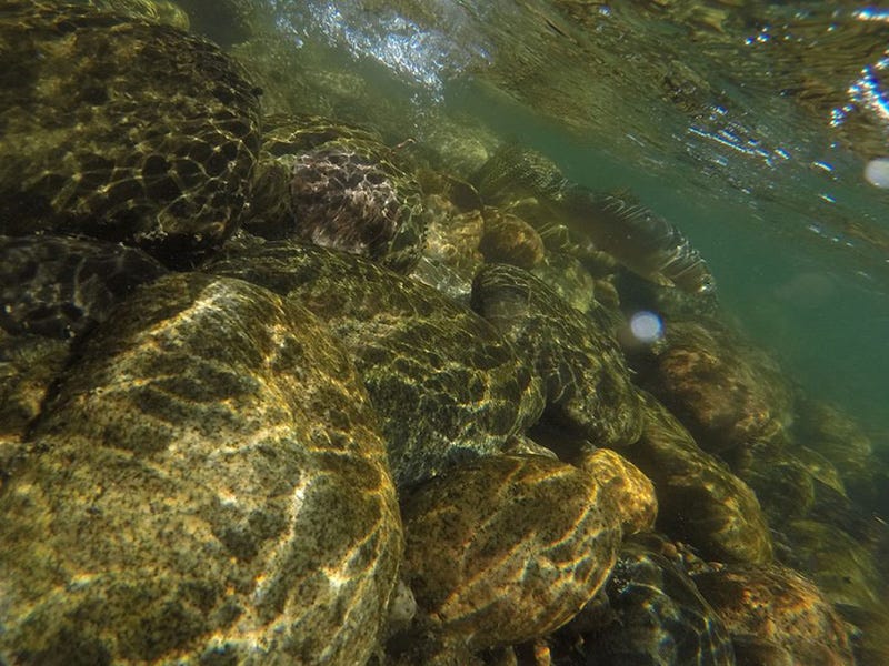 Methow River Report 9.14.16
