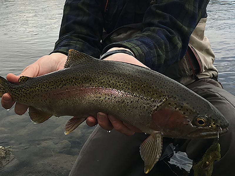 Missouri River Report: 10-19-15