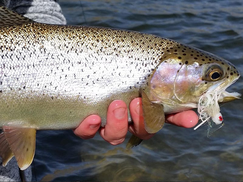 Missouri River Report 3.23.16