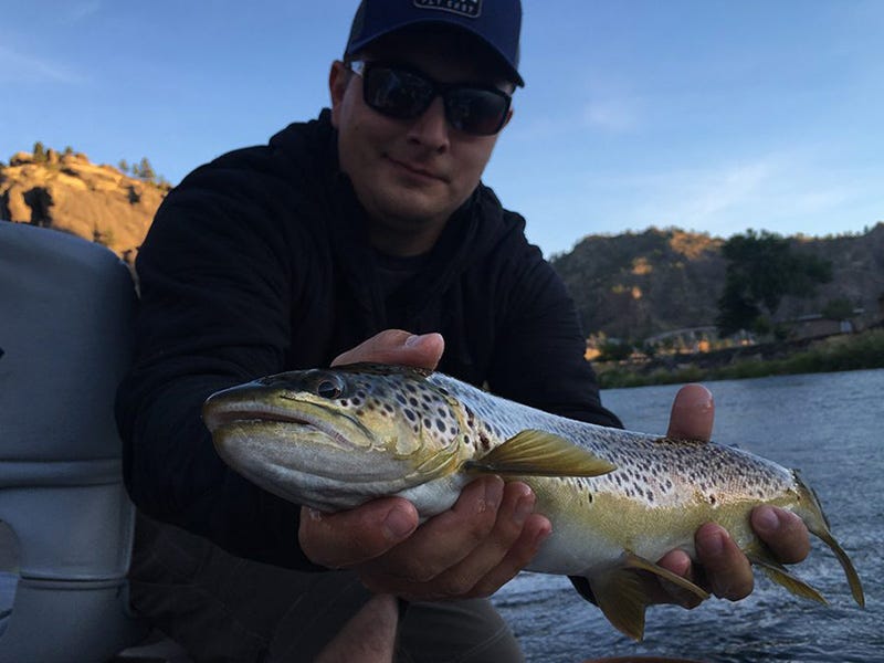 Missouri River Report 8.26.16