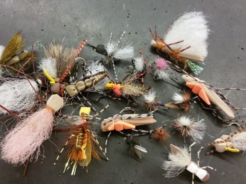 Missouri River Report 8.5.16
