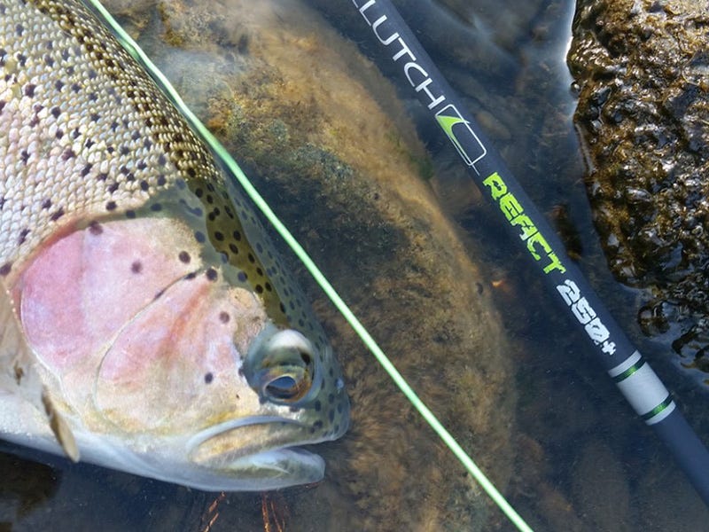 Missouri River Report 9.6.16