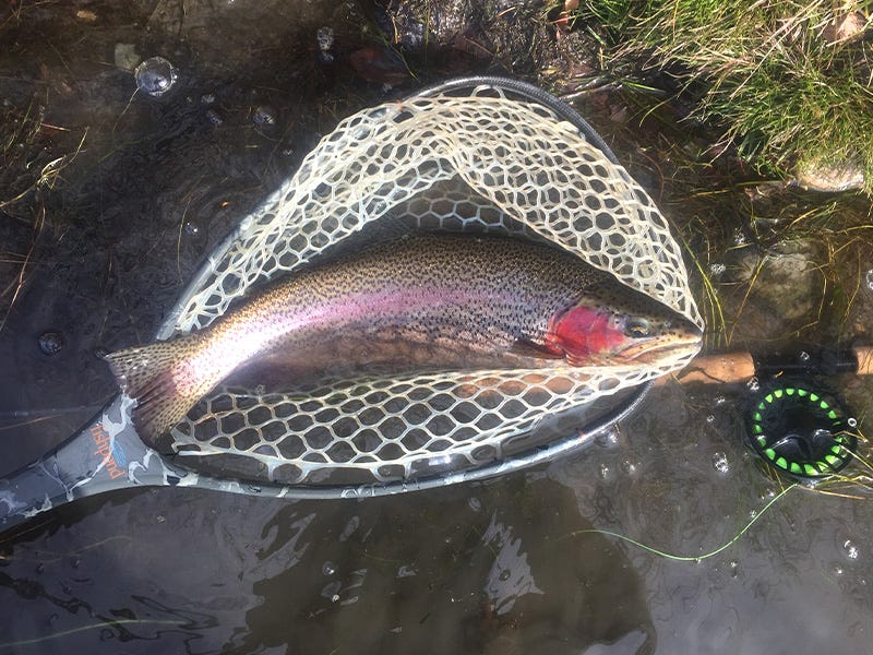 mo-river-report-12-1-16a